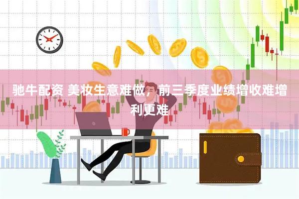 驰牛配资 美妆生意难做，前三季度业绩增收难增利更难