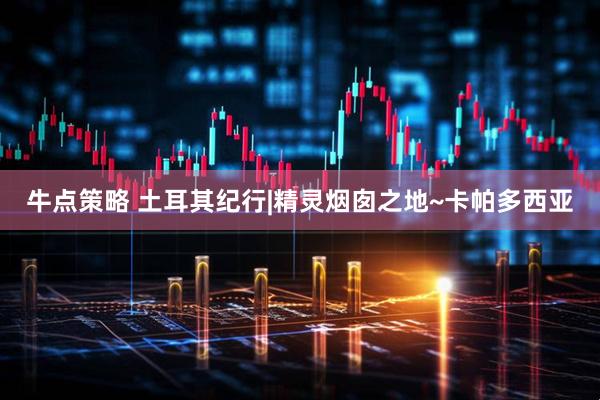牛点策略 土耳其纪行|精灵烟囱之地~卡帕多西亚