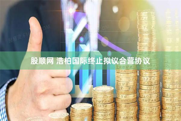 股顺网 浩柏国际终止拟议合营协议