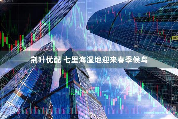 荆叶优配 七里海湿地迎来春季候鸟