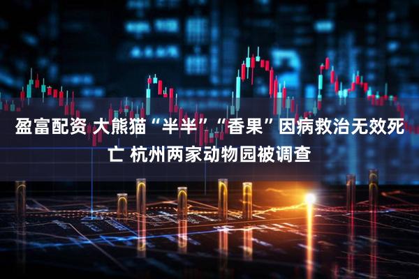 盈富配资 大熊猫“半半”“香果”因病救治无效死亡 杭州两家动物园被调查