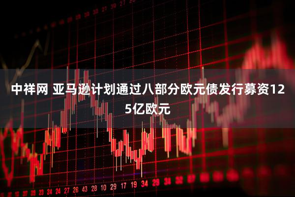 中祥网 亚马逊计划通过八部分欧元债发行募资125亿欧元