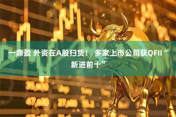 一鼎盈 外资在A股扫货！ 多家上市公司获QFII“新进前十”