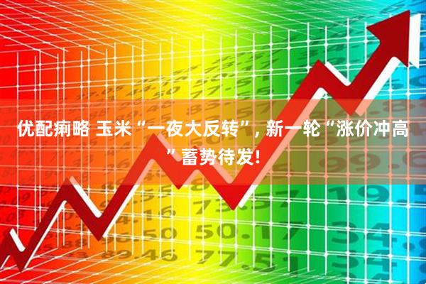 优配痢略 玉米“一夜大反转”, 新一轮“涨价冲高”蓄势待发!