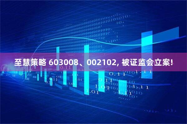 至慧策略 603008、002102, 被证监会立案!
