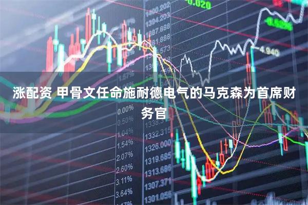 涨配资 甲骨文任命施耐德电气的马克森为首席财务官
