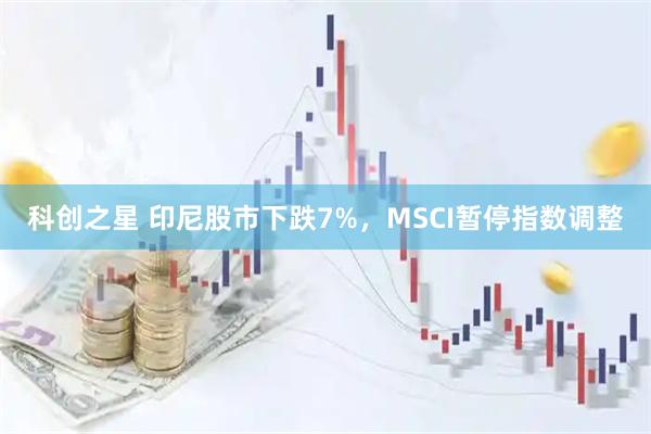 科创之星 印尼股市下跌7%，MSCI暂停指数调整