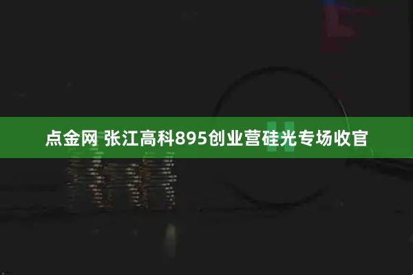 点金网 张江高科895创业营硅光专场收官