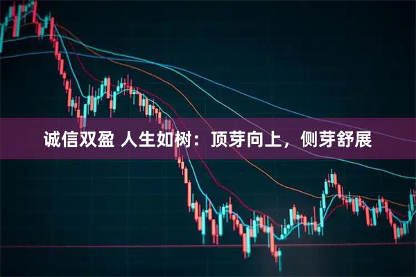 诚信双盈 人生如树:顶芽向上,侧芽舒展