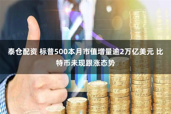 泰仓配资 标普500本月市值增量逾2万亿美元 比特币未现跟涨态势
